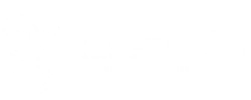 RasenHeim Rollrasen verlegen